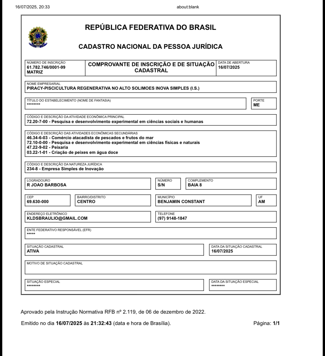 CNPJ Registration Document – Piracy