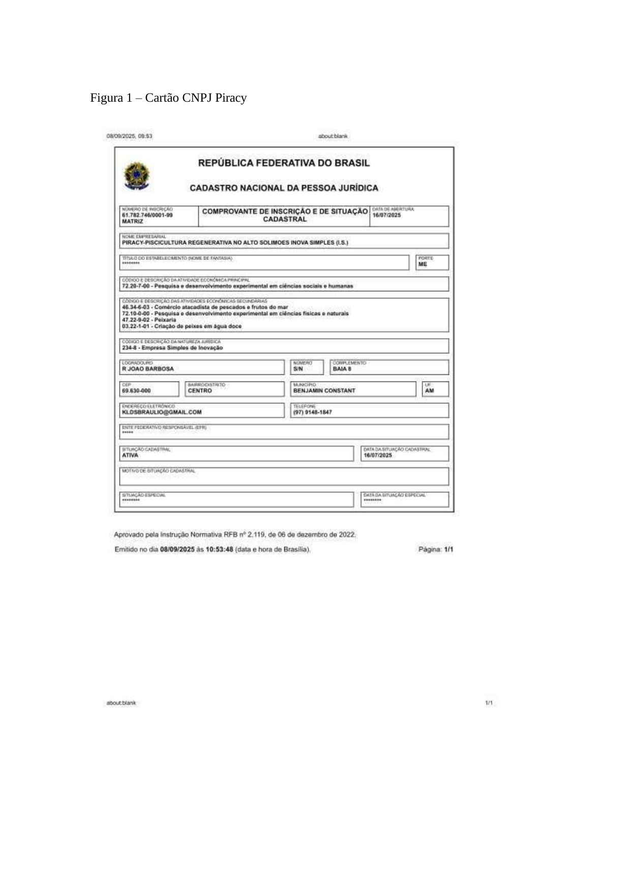 Formalization Certificate
